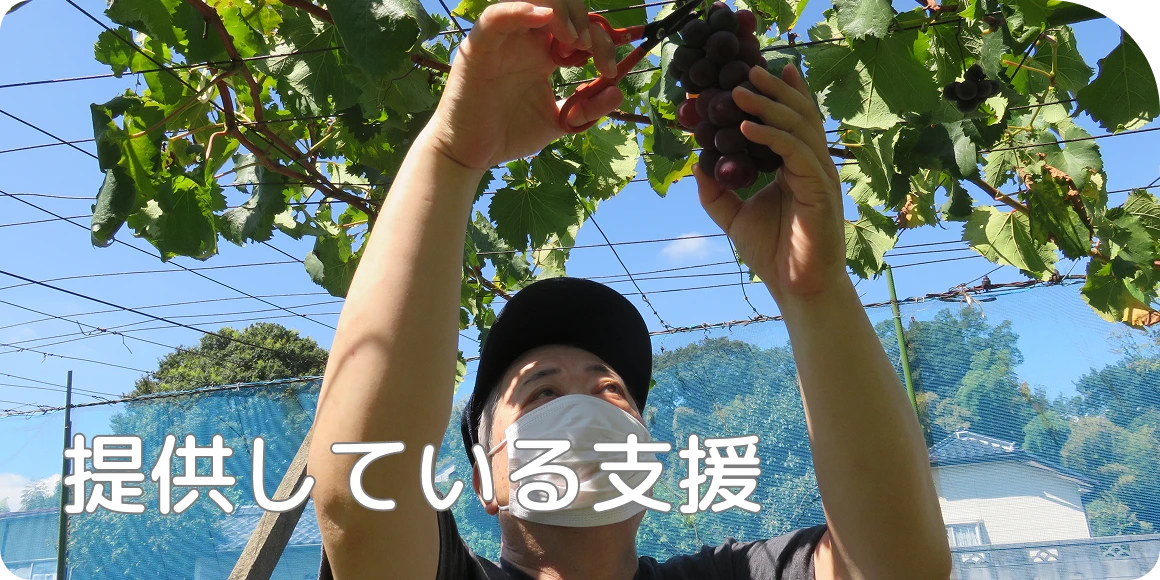 提供している支援